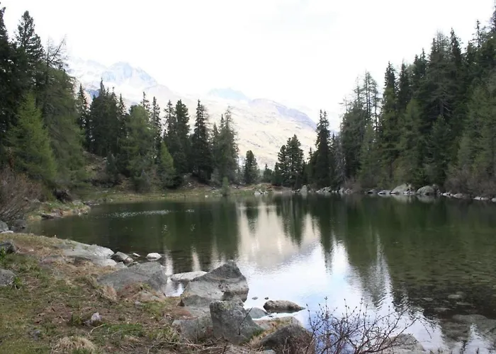 Apartamento Chesa Arettas By Interhome *